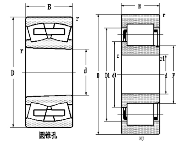 单列圆柱滚子轴承截面示意图